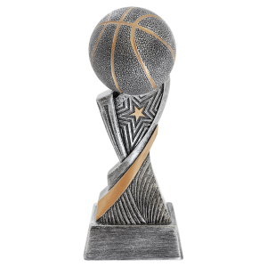 Aspire Resin 8" Basketball