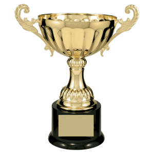 Gold Completed Metal Cup Trophy on Plastic Base 9 3/4 " CMC104G