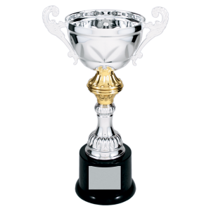 Silver Completed Metal Cup Trophy on Plastic Base 10 " CMC202S