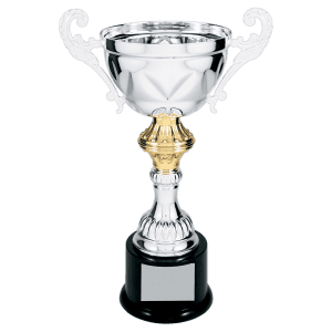 Silver Completed Metal Cup Trophy on Plastic Base 11 1/2 " CMC203S