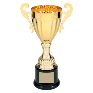 Gold Completed Metal Cup Trophy on Plastic Base 8 3/4 " CMC301G