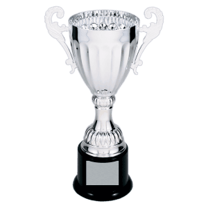 Silver Completed Metal Cup Trophy on Plastic Base 8 3/4 " CMC301S