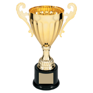 Gold Completed Metal Cup Trophy on Plastic Base 9 3/4 " CMC302G