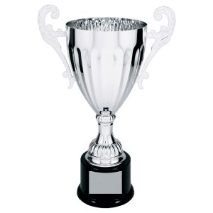 Silver Completed Metal Cup Trophy on Plastic Base 12 " CMC303S