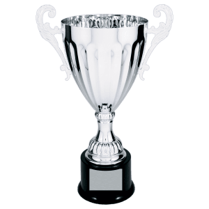 Silver Completed Metal Cup Trophy on Plastic Base 13 1/4 " CMC304S