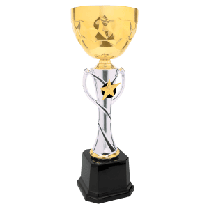 Silver/Gold Completed Metal Cup Trophy 15 " CMC334