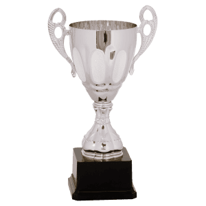 Silver Completed Metal Cup Trophy on Plastic Base 11 " CMC701S