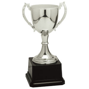 Silver Completed Zinc Cup Trophy 8 3/4 " CZC603S