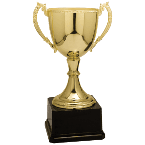 Gold Completed Zinc Cup Trophy 11 " CZC605G