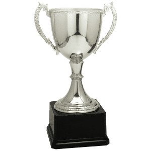 Silver Completed Zinc Cup Trophy 11 " CZC605S