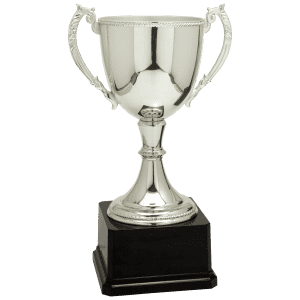 Silver Completed Zinc Cup Trophy 12 3/4 " CZC607S