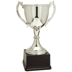 Silver Completed Zinc Cup Trophy 16 3/4 " CZC609S