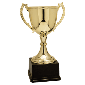 Gold Completed Zinc Cup Trophy 18 1/4 " CZC610G