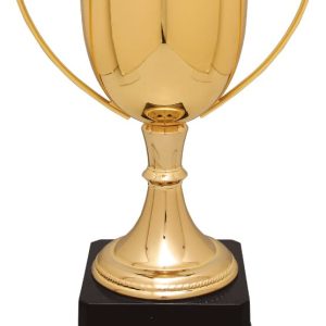 Gold Completed Zinc Cup Trophy on Plastic Base 10 1/2 " CZC701G