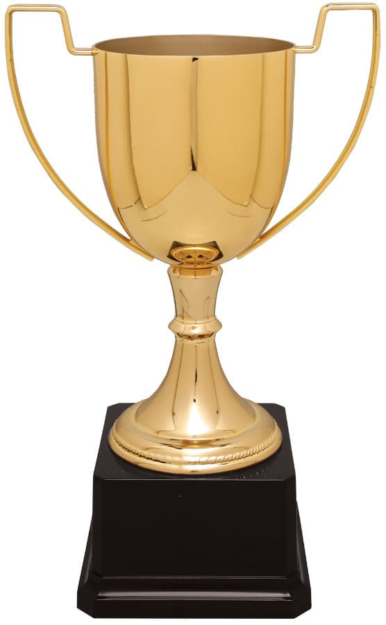 Gold Completed Zinc Cup Trophy on Plastic Base 10 1/2 " CZC701G