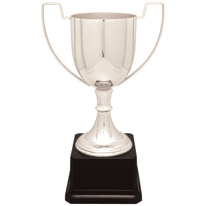 Silver Completed Zinc Cup Trophy on Plastic Base 10 1/2 " CZC701S