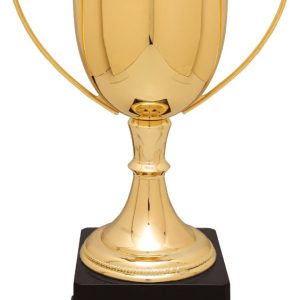 Gold Completed Zinc Cup Trophy on Plastic Base 11 3/4 " CZC702G