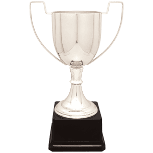 Silver Completed Zinc Cup Trophy on Plastic Base 11 3/4 " CZC702S