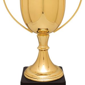 Gold Completed Zinc Cup Trophy on Plastic Base 13 " CZC703G