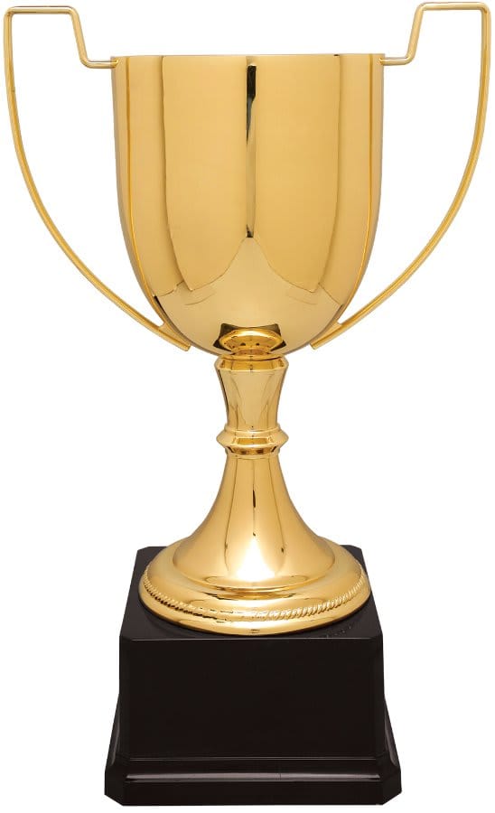 Gold Completed Zinc Cup Trophy on Plastic Base 13 " CZC703G