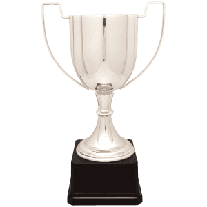 Silver Completed Zinc Cup Trophy on Plastic Base 13 " CZC703S