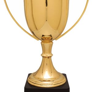 Gold Completed Zinc Cup Trophy on Plastic Base 15 1/4 " CZC705G