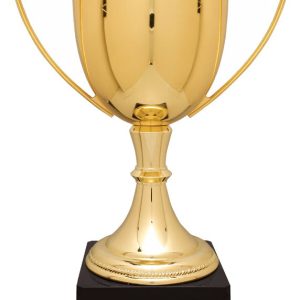 Gold Completed Zinc Cup Trophy on Plastic Base 17 1/2 " CZC706G