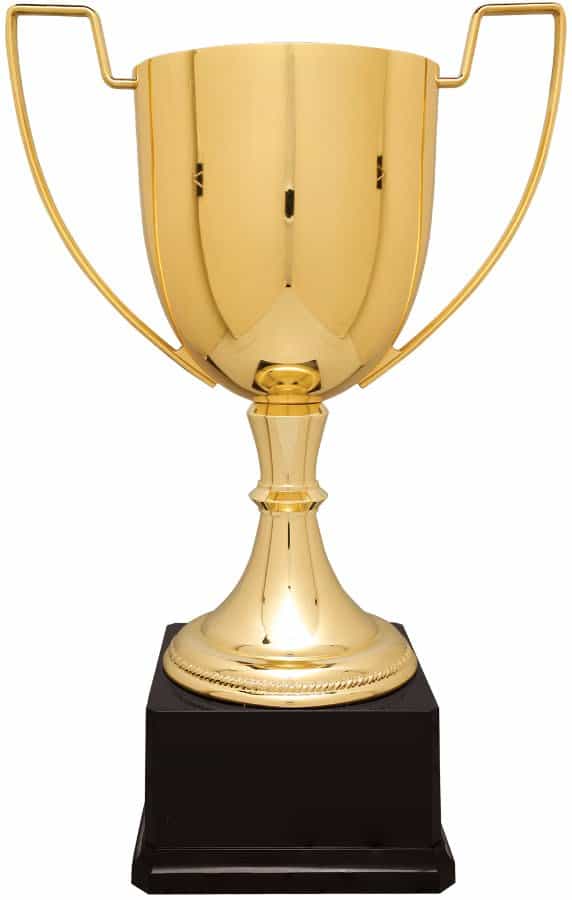 Gold Completed Zinc Cup Trophy on Plastic Base 17 1/2 " CZC706G