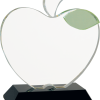 Etched Crystal Apple Award