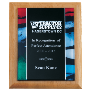 Airflyte  Natural Alder Plaque with Stained Glass Border Acrylic Plate 7" x 9"  P5322