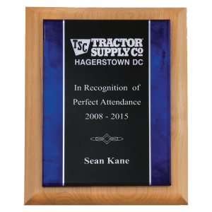 Airflyte  Natural Alder Plaque with Blue Border Acrylic Plate 8" x 10  P5336